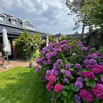 Oase-In-Westerland-Ferienwohnung-3